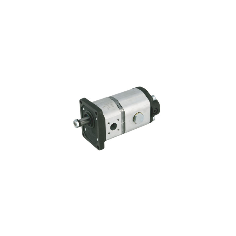 HL-Series-2-Pass-Gear-Pumps HL-Series-2-Pass-Gear-Pumps